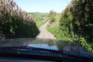 Gorgeous single track roads handily meant that cars couldn't pass me without giving me directions